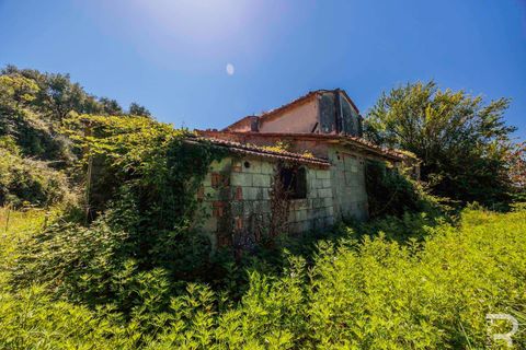 Farm hus i Massa E Cozzile, Pistoia, Massa E Cozzile - € 260.000 | Ref: R07264MACA-1377098 - foto 18