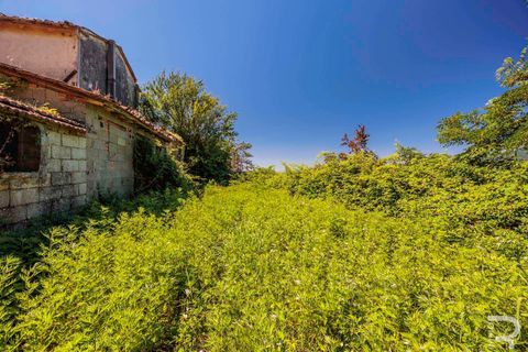 Farm hus i Massa E Cozzile, Pistoia, Massa E Cozzile - € 260.000 | Ref: R07264MACA-1377098 - foto 19