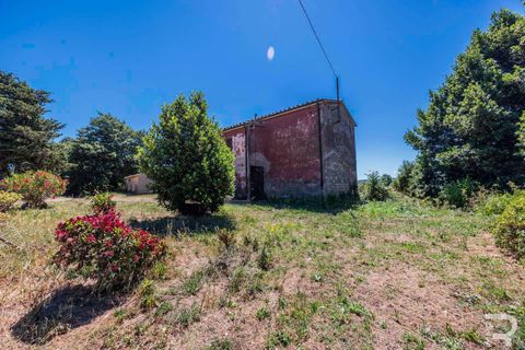 Farm hus i Sorano, Grosseto, Sorano - € 160.000 | Ref: R07256SORU-1377272 - foto 9