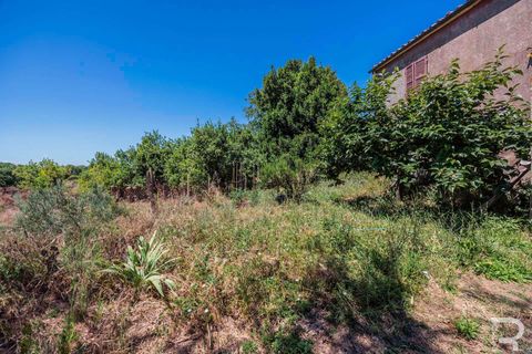 Farm hus i Sorano, Grosseto, Sorano - € 160.000 | Ref: R07256SORU-1377272 - foto 14