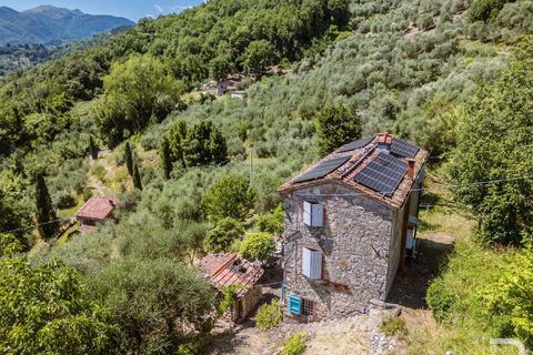Farm hus i Borgo a Mozzano, Lucca, Borgo a Mozzano - € 270.000 | Ref: R07251BORU-1377341 - foto 3