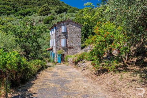Farm hus i Borgo a Mozzano, Lucca, Borgo a Mozzano - € 270.000 | Ref: R07251BORU-1377341 - foto 6