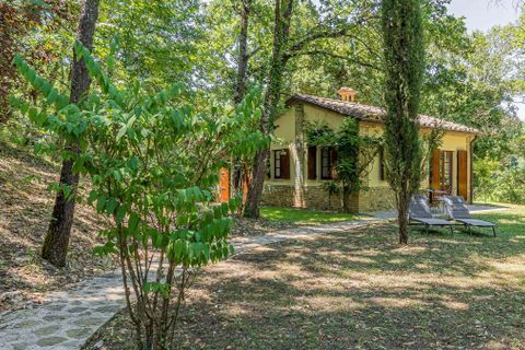 Masia a Umbertide, Perugia, Umbertide - € 2.200.000 | Ref: ILV93998-1378197 - foto 40