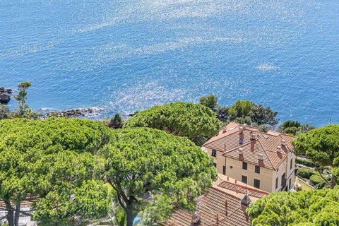 Villa i Zoagli, Genoa, Zoagli - € 2.265.000 | Ref: ILV93997-1378248 - foto 40