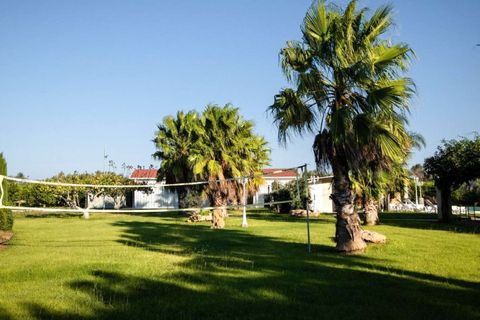 Villa i Mesagne, Brindisi, Mesagne - € 950 000 | Ref: ILV93989-1378514 - foto 4
