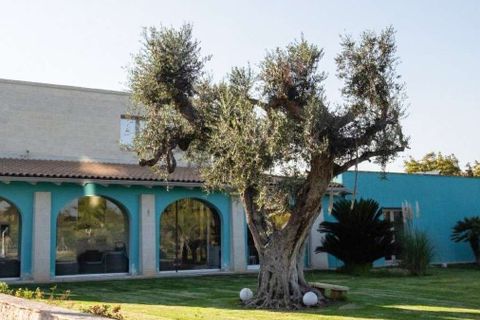 Villa i Mesagne, Brindisi, Mesagne - € 950 000 | Ref: ILV93989-1378514 - foto 18