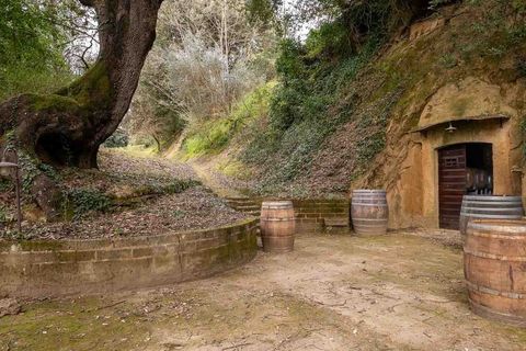 Villa i San Gimignano, Siena, San Gimignano - € 6.700.000 | Ref: ILVr92889-1378932 - foto 33