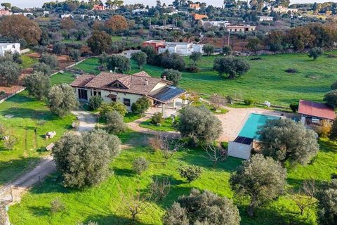 Villa i Monopoli, Bari, Monopoli - € 1 180 000 | Ref: ILV93074-1379915 - foto 2