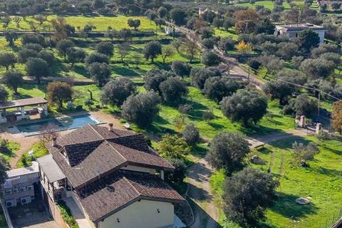 Villa i Monopoli, Bari, Monopoli - € 1 180 000 | Ref: ILV93074-1379915 - foto 41
