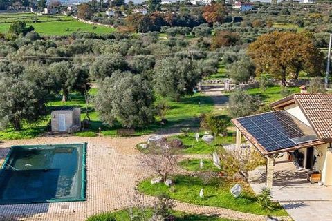 Villa i Monopoli, Bari, Monopoli - € 1 180 000 | Ref: ILV93074-1379915 - foto 50