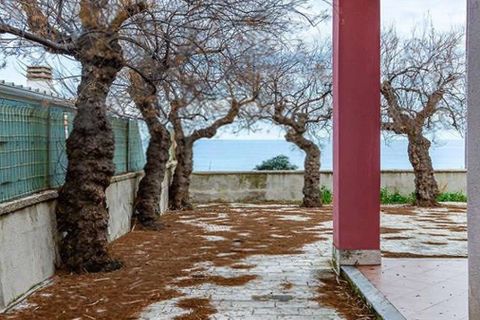 Villa i Monopoli, Bari, Monopoli - € 1 200 000 | Ref: ILV93094-1379975 - foto 37