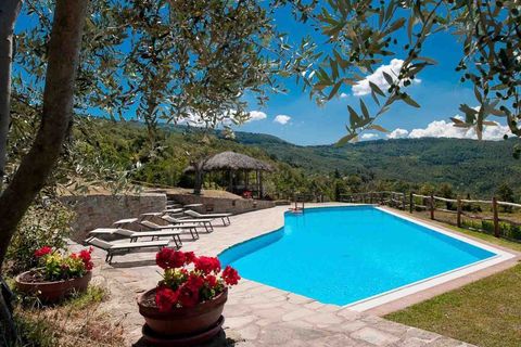 Villa in Arezzo, Arezzo, Arezzo - € 6.300.000 | Ref: ILV92915-1380129 - foto 31