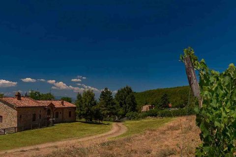 Villa in Arezzo, Arezzo, Arezzo - € 6.300.000 | Ref: ILV92915-1380129 - foto 35