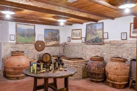 Villa en Pelago, Florence, Pelago - € 4.900.000 | Ref: ILV92945-1380330 - photo 38