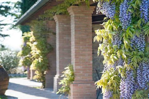 Villa en Peccioli, Pisa, Peccioli - € 1.550.000 | Ref: ILV92916-1380373 - photo 8