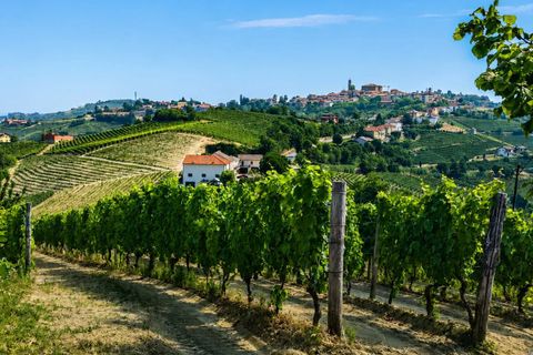 Villa em Mango, Cuneo, Mango - € 450.000 | Ref: MNG012 - foto 2