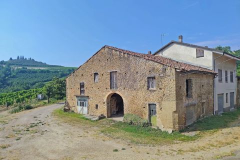 Villa em Mango, Cuneo, Mango - € 450.000 | Ref: MNG012 - foto 20