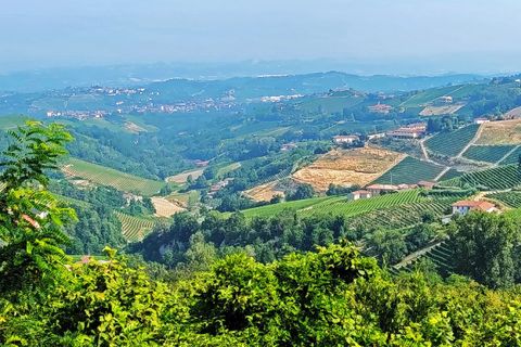Villa em Mango, Cuneo, Mango - € 450.000 | Ref: MNG012 - foto 24