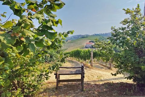 Villa em Mango, Cuneo, Mango - € 450.000 | Ref: MNG012 - foto 30