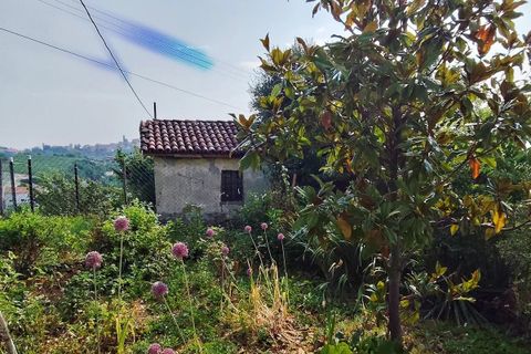Villa em Mango, Cuneo, Mango - € 450.000 | Ref: MNG012 - foto 35