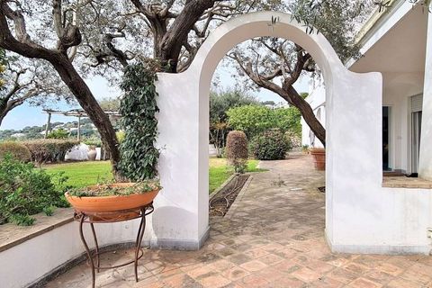 Villa i Anacapri, Naples, Anacapri - € 5 800 000 | Ref: ILV91230-1380660 - foto 16