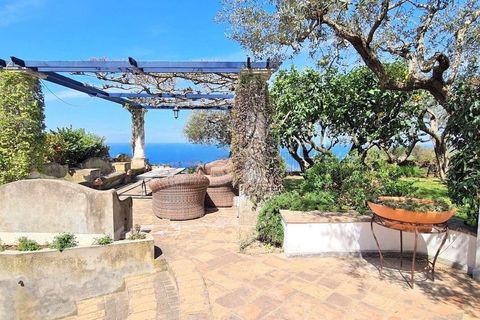 Villa i Anacapri, Naples, Anacapri - € 5 800 000 | Ref: ILV91230-1380660 - foto 17