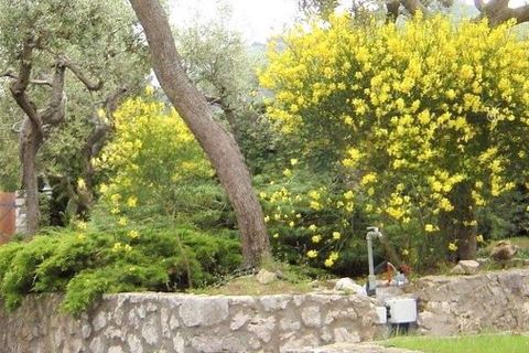 Villa i Anacapri, Naples, Anacapri - € 5 800 000 | Ref: ILV91230-1380660 - foto 33