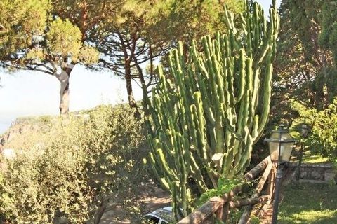 Villa i Anacapri, Naples, Anacapri - € 5 800 000 | Ref: ILV91230-1380660 - foto 35
