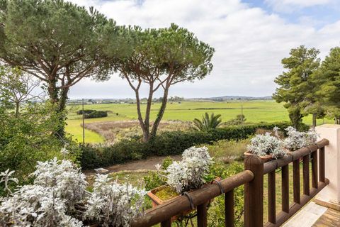 Villa in Capalbio, Grosseto, Capalbio - € 2.900.000 | Ref: ILV90644-1380951 - foto 11