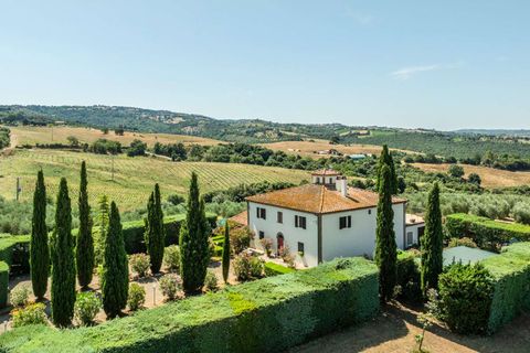 Villa i Scansano, Grosseto, Scansano - € 1 980 000 | Ref: ILV86749-1381104 - foto 7