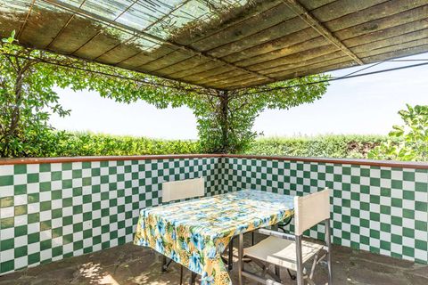 Villa i Scansano, Grosseto, Scansano - € 1 980 000 | Ref: ILV86749-1381104 - foto 17