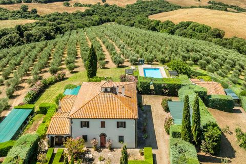 Villa i Scansano, Grosseto, Scansano - € 1 980 000 | Ref: ILV86749-1381104 - foto 27