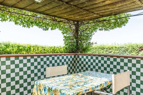 Villa i Scansano, Grosseto, Scansano - € 1 980 000 | Ref: ILV86749-1381104 - foto 47