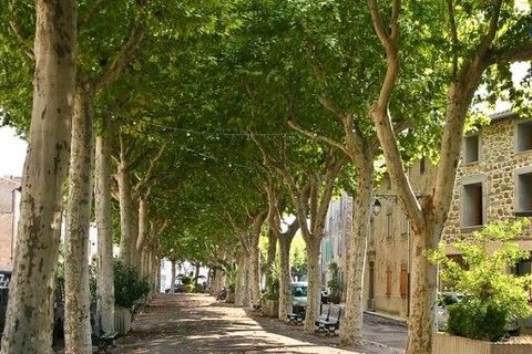 Villa a Azille, Aude, Azille - € 530/mes | Ref: 884775 - foto 7