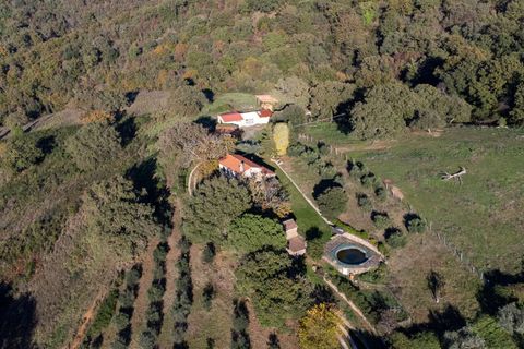 Farm hus i Scansano, Grosseto, Scansano - € 720.000 | Ref: ILV83477-1381335 - foto 7