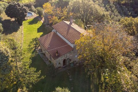 Farm hus i Scansano, Grosseto, Scansano - € 720.000 | Ref: ILV83477-1381335 - foto 12