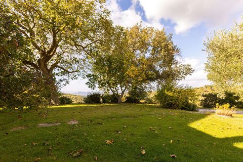 Farm hus i Scansano, Grosseto, Scansano - € 720.000 | Ref: ILV83477-1381335 - foto 18