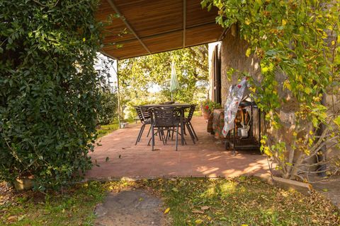 Farm hus i Scansano, Grosseto, Scansano - € 720.000 | Ref: ILV83477-1381335 - foto 19