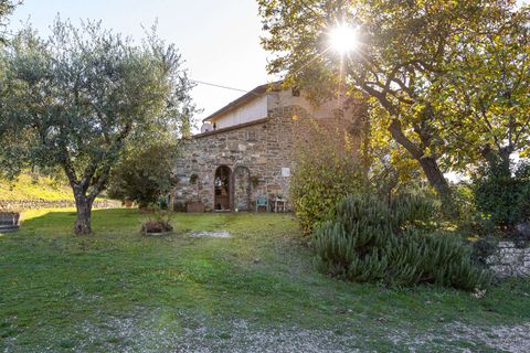 Farm hus i Scansano, Grosseto, Scansano - € 720.000 | Ref: ILV83477-1381335 - foto 20