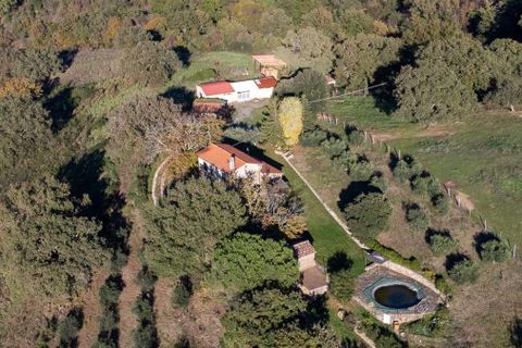 Farm hus i Scansano, Grosseto, Scansano - € 720.000 | Ref: ILV83477-1381335 - foto 33