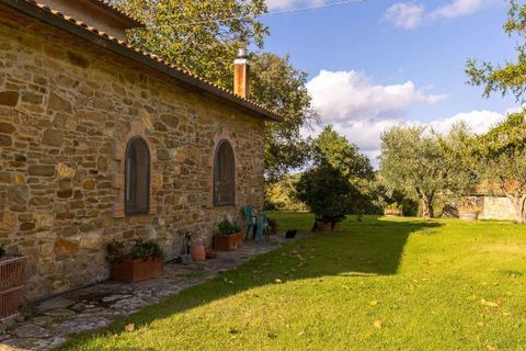 Farm hus i Scansano, Grosseto, Scansano - € 720.000 | Ref: ILV83477-1381335 - foto 36