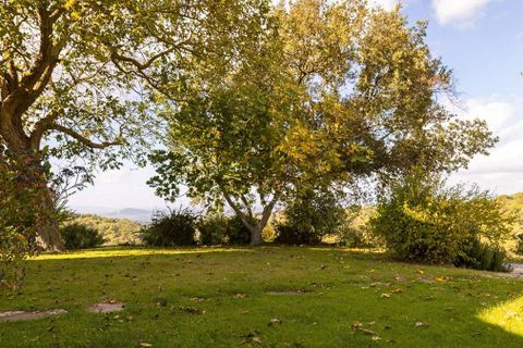 Farm hus i Scansano, Grosseto, Scansano - € 720.000 | Ref: ILV83477-1381335 - foto 44
