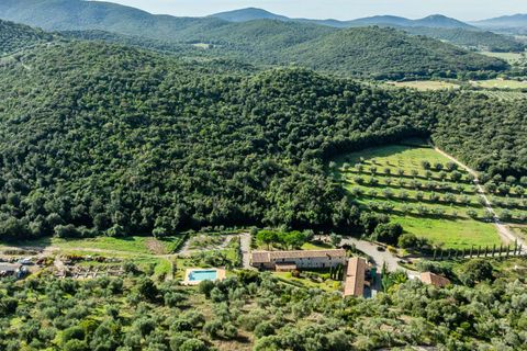 Villa i Roccastrada, Grosseto, Roccastrada - € 4.100.000 | Ref: ILV83125-1381437 - foto 13