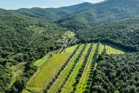Villa i Roccastrada, Grosseto, Roccastrada - € 4.100.000 | Ref: ILV83125-1381437 - foto 15