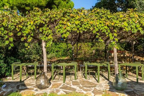 Villa i Gavorrano, Grosseto, Gavorrano - € 2.100.000 | Ref: ILV83124-1381488 - foto 43
