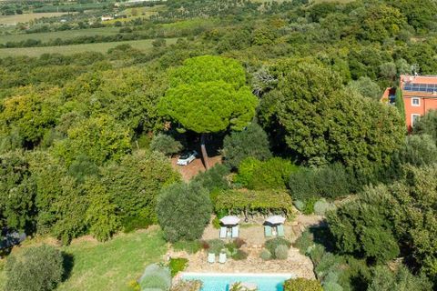 Villa i Gavorrano, Grosseto, Gavorrano - € 2.100.000 | Ref: ILV83124-1381488 - foto 47