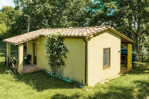 Farm hus i Scansano, Grosseto, Scansano - € 9.600.000 | Ref: ILV80522-1382206 - foto 8