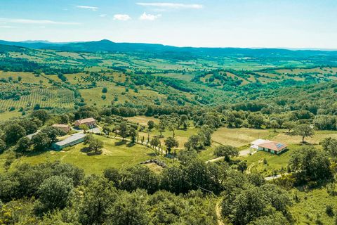 Farm hus i Scansano, Grosseto, Scansano - € 9.600.000 | Ref: ILV80522-1382206 - foto 9