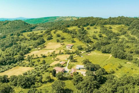 Farm hus i Scansano, Grosseto, Scansano - € 9.600.000 | Ref: ILV80522-1382206 - foto 11