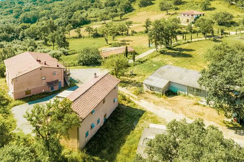 Farm hus i Scansano, Grosseto, Scansano - € 9.600.000 | Ref: ILV80522-1382206 - foto 14